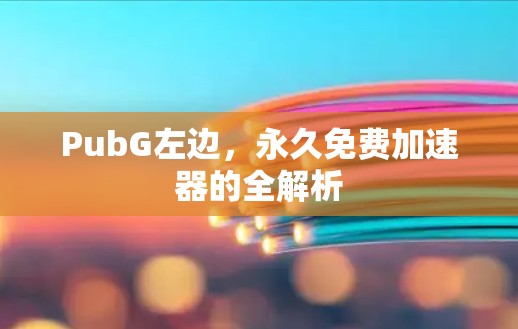 PubG左边，永久免费加速器的全解析