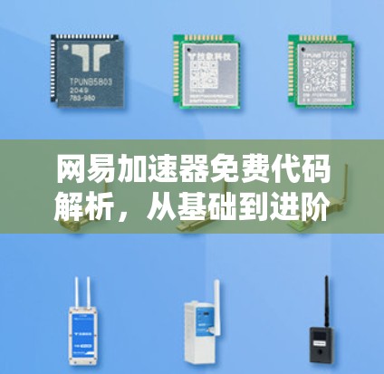 网易加速器免费代码解析，从基础到进阶