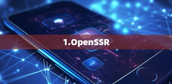 1.OpenSSR