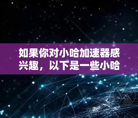 如果你对小哈加速器感兴趣，以下是一些小哈加速器的使用步骤