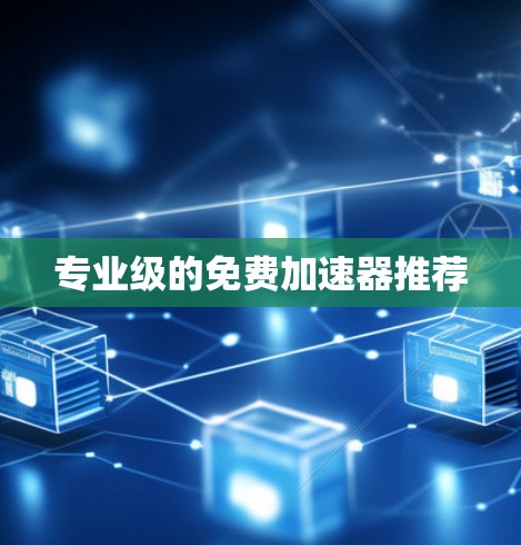 专业级的免费加速器推荐 专业级的免费加速器推荐