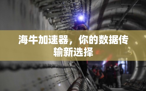 海牛加速器,你的数据传输新选择 海牛加速器,你的数据传输新选择