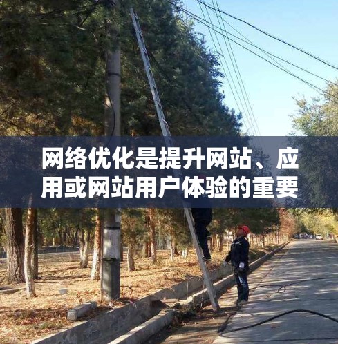 网络优化是提升网站、应用或网站用户体验的重要环节，通过优化网站结构、提高加载速度、增强安全性等，提升网站的访问体验和用户满意度。以下是一些网络优化的关键点和步骤