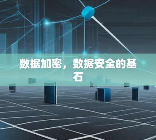 数据加密,数据安全的基石 数据加密,数据安全的基石