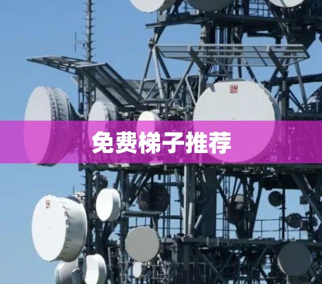 免费梯子推荐