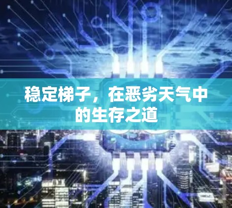 稳定梯子，在恶劣天气中的生存之道