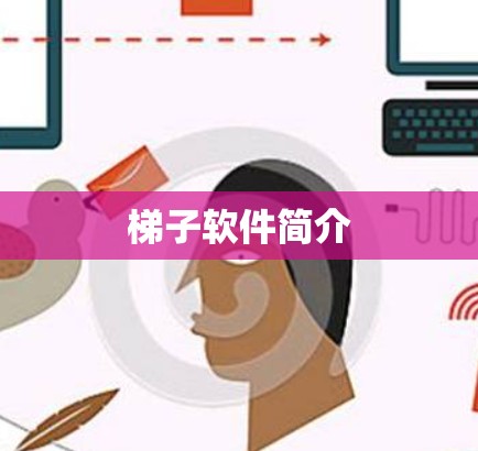 梯子软件简介