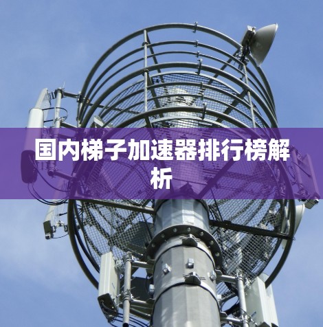 国内梯子加速器排行榜解析