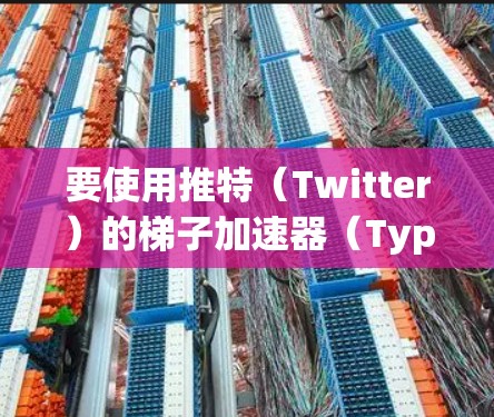 要使用推特（Twitter）的梯子加速器（Typing Assistant）您可以按照以下步骤操作