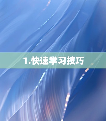 1.快速学习技巧 1.快速学习技巧