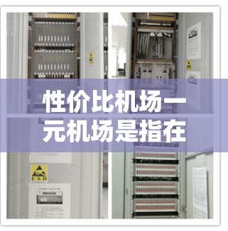 性价比机场一元机场是指在机场服务方面，不仅提供必要的设施，还能以较低成本访问这些设施，从而节省时间或金钱。以下是该主题的详细分析