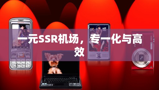 一元SSR机场，专一化与高效