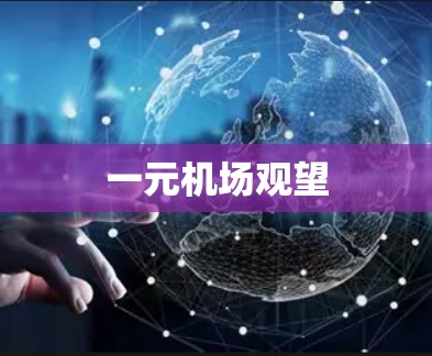 一元机场观望