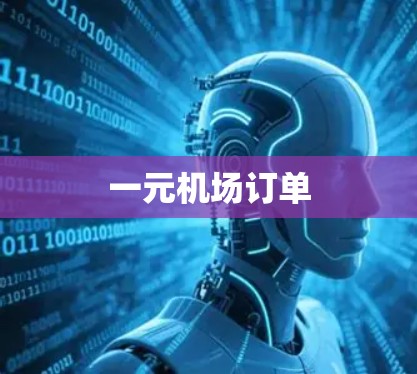一元机场订单