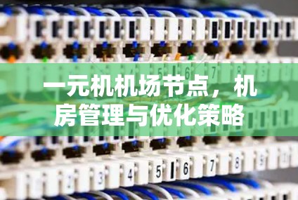一元机机场节点，机房管理与优化策略