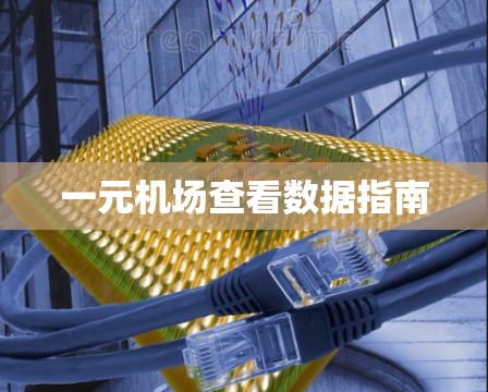 一元机场查看数据指南