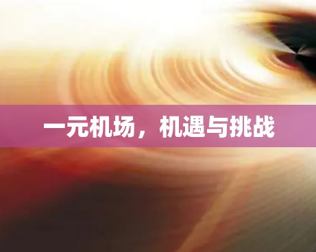 一元机场，机遇与挑战