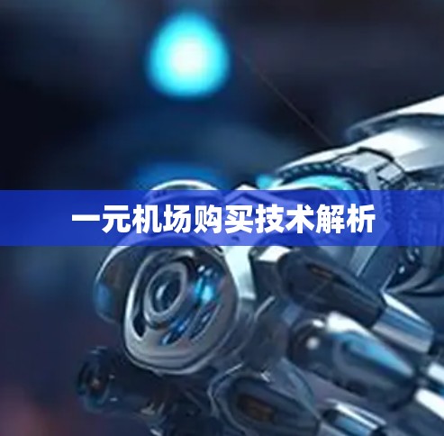 一元机场购买技术解析