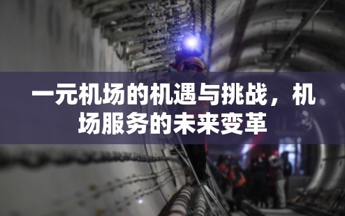 一元机场的机遇与挑战，机场服务的未来变革