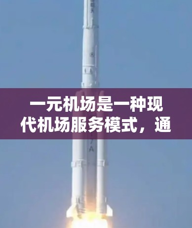 一元机场是一种现代机场服务模式，通过合并所有机场的票务，显著降低了处理成本和时间。以下是对一元机场代理服务的详细分析和建议