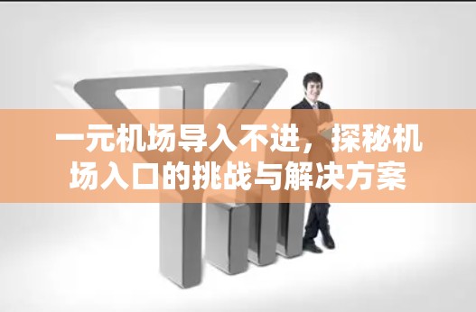 一元机场导入不进，探秘机场入口的挑战与解决方案