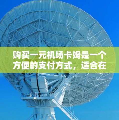 购买一元机场卡姆是一个方便的支付方式，适合在机场使用。以下是详细的操作步骤