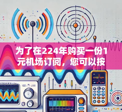 为了在224年购买一份1元机场订阅，您可以按照以下步骤操作
