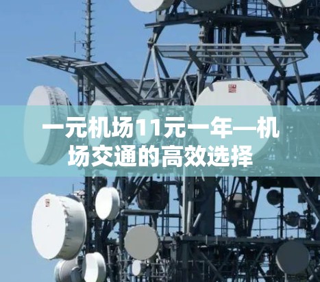 一元机场11元一年—机场交通的高效选择