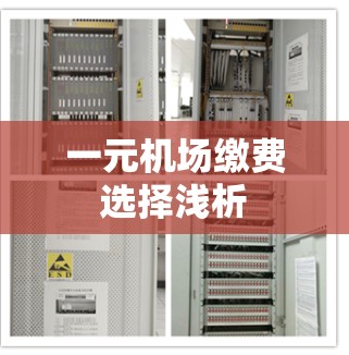 一元机场缴费选择浅析