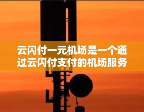 云闪付一元机场是一个通过云闪付支付的机场服务，通常与特定的机场合作，提供了一元化的支付服务。以下是对该服务的详细分析