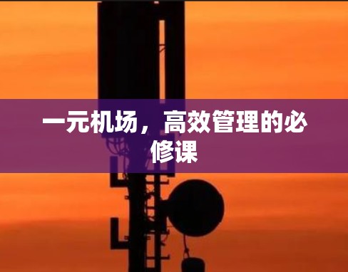 一元机场，高效管理的必修课