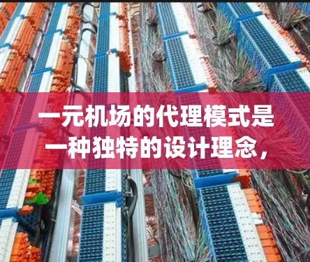 一元机场的代理模式是一种独特的设计理念，将机场商店和机场 gatehouse整合为一个统一的代理设备，以减少空间和资源的占用。以下是对该模式的分析和总结