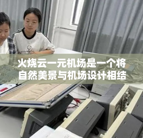 火烧云一元机场是一个将自然美景与机场设计相结合的项目，旨在创造出一个既高效又简洁的机场。以下是对该项目的详细分析和总结