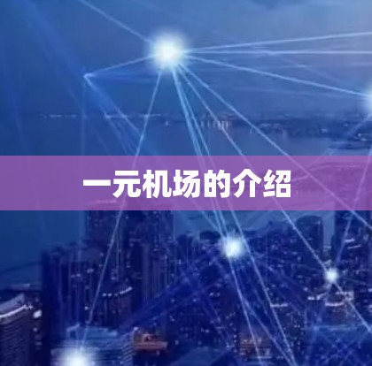 一元机场的介绍