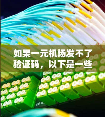 如果一元机场发不了验证码，以下是一些可能的解决办法