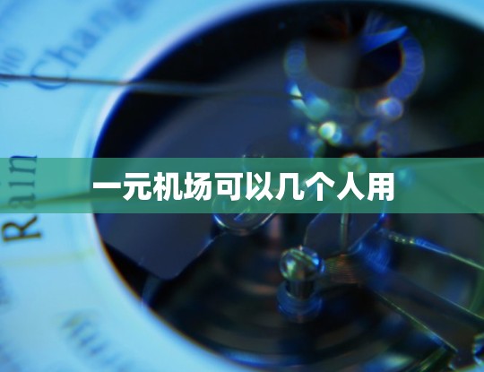 一元机场可以几个人用