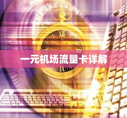 一元机场流量卡详解