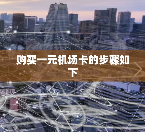 购买一元机场卡的步骤如下