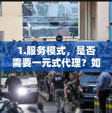 1.服务模式，是否需要一元式代理？如果需要，是否能够找到其他供应商或服务方式？