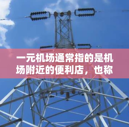 一元机场通常指的是机场附近的便利店，也称为一元服务，通常包括早餐、点心和饮料。以下是对一元机场手机服务的详细分析