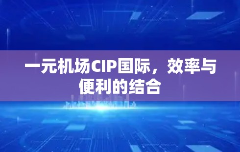 一元机场CIP国际，效率与便利的结合