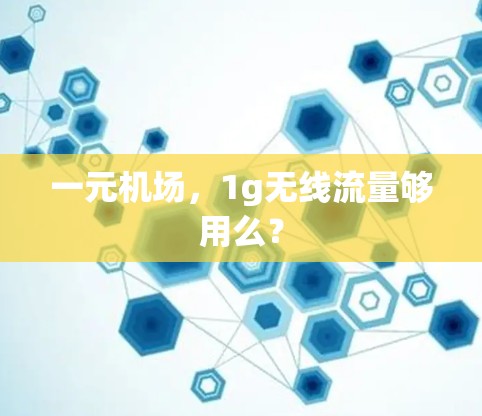 一元机场，1g无线流量够用么？