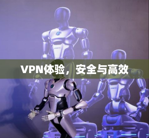 VPN体验，安全与高效