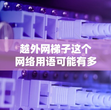 越外网梯子这个网络用语可能有多种解释，具体含义取决于上下文。以下是几种可能的解释
