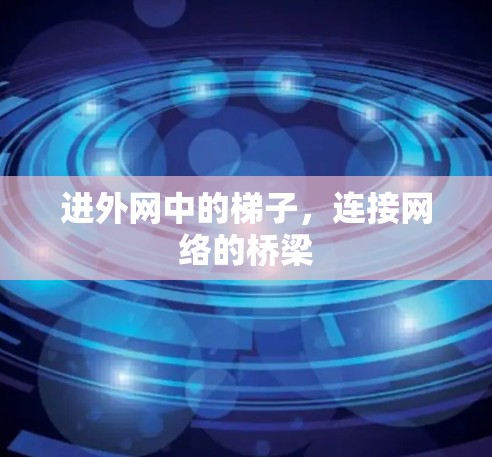 进外网中的梯子，连接网络的桥梁