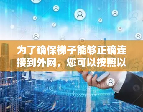 为了确保梯子能够正确连接到外网，您可以按照以下步骤进行检查和处理
