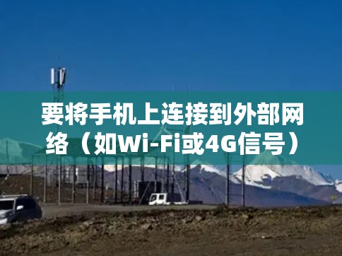 要将手机上连接到外部网络（如Wi-Fi或4G信号）称为搭梯子，请按照以下步骤操作