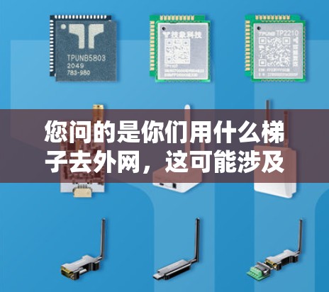 您问的是你们用什么梯子去外网，这可能涉及到您自己使用哪种梯子，或者是您自己询问了其他人使用哪种梯子。以下是一些可能的解释和建议