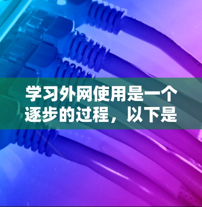 学习外网使用是一个逐步的过程，以下是一个详细的指南，帮助你从基础开始逐步提升技能
