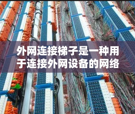 外网连接梯子是一种用于连接外网设备的网络架构，通常由多个层级的连接组成，旨在确保网络的扩展性和可靠性。以下是对该结构的详细分析
